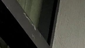 attachment-64b4d73da03e823695ee3e28