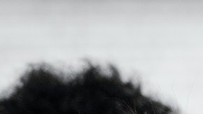 attachment-64ac3b35d882d526d9e8f160