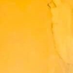 attachment-64e3b564dd08281218dda34f