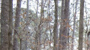 attachment-64fb839b76f6da71fe53826d