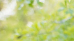 attachment-66555ceeb9381873123cb948