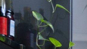 attachment-66a3c7039c1993205a9c21e1