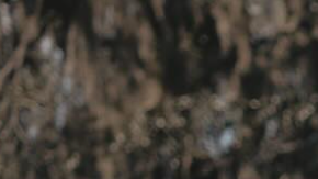 attachment-66a3392f2e285f43426f6117