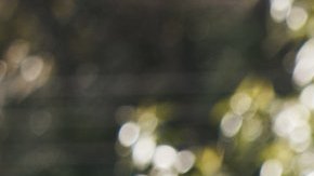 attachment-66cf613bf1fd995ec5b99082