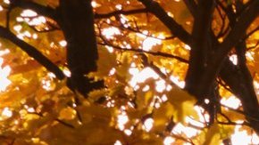 attachment-66df457cbffbb900e65c7e5f