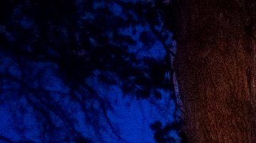 attachment-66e88d9409139c3f426d68f5