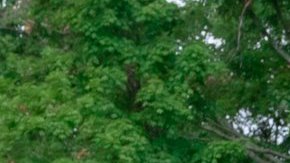 attachment-66fb4ea3cd86bf1b62921692