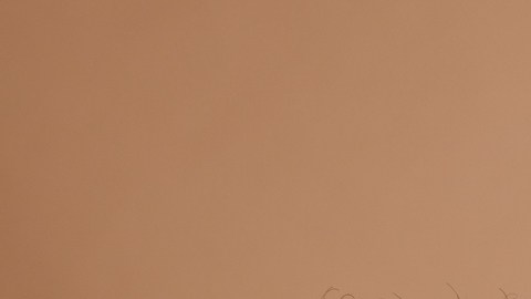 Skincare, beauty and black women, friends and face cream in studio on brown background. Group portrait, smile and happy models apply facial lotion or cosmetics product for moisturizing healthy skin.