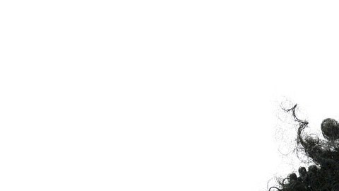 Woman Holding 100 Dollar Bills