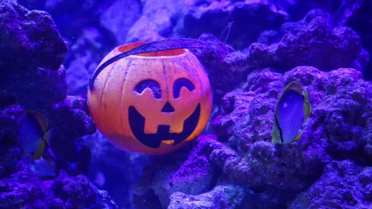 GettyImages-1050544272