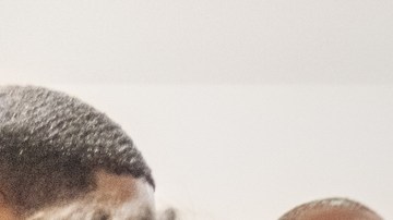 A multi-generation ethnic family having a thanksgiving together, Karaoke time, Montreal, Canada.