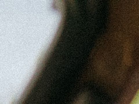 pexels-koolshooters-8974287