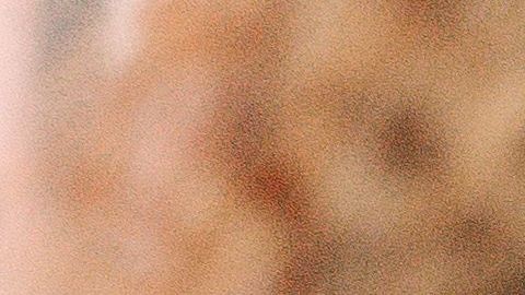 pexels-cottonbro-6593903