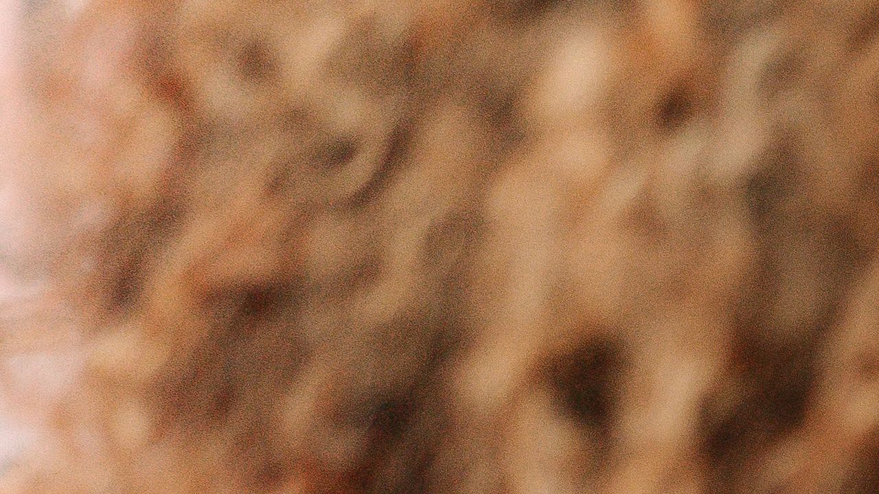 pexels-cottonbro-6593903