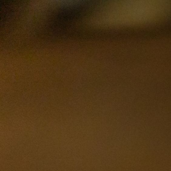 pexels-yaroslav-shuraev-9490221