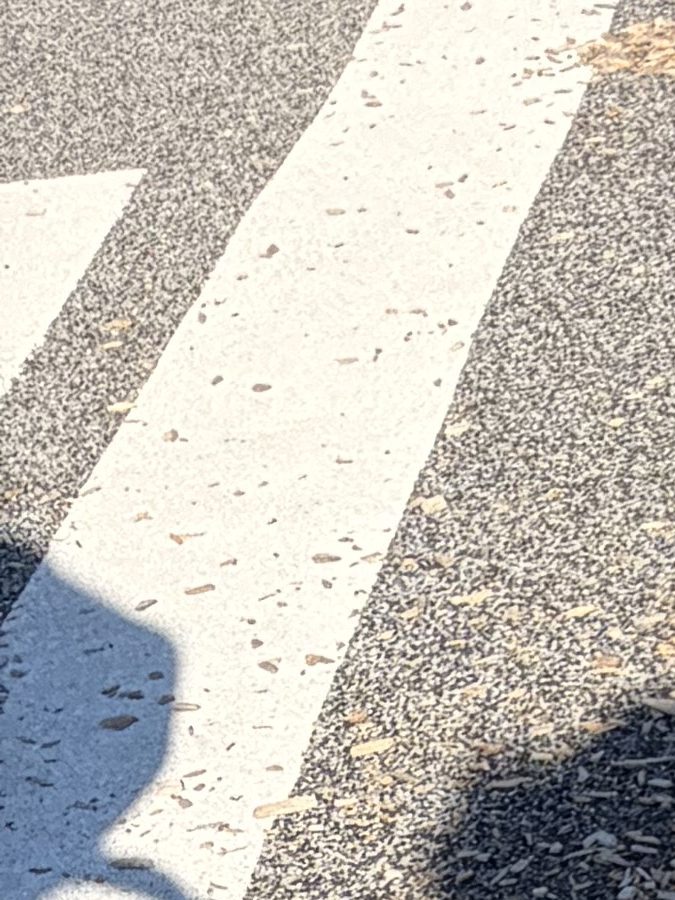 A shadow of a person sitting on a swing with the ground covered in wood chips, with a stroller visible nearby.