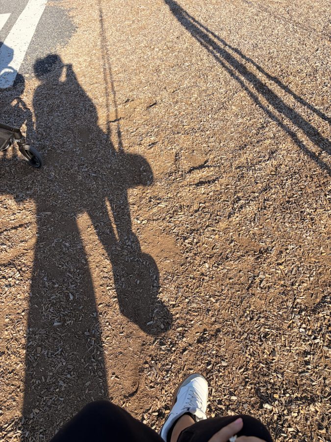 A shadow of a person sitting on a swing with the ground covered in wood chips, with a stroller visible nearby.