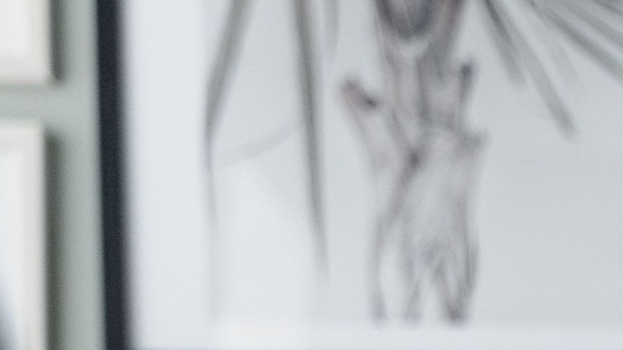 pexels-tima-miroshnichenko-6693656